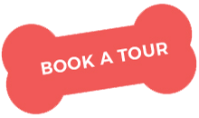 Book a tour https://lacorst.com.br/wp-content/uploads/2019/08/book_a_tour.png