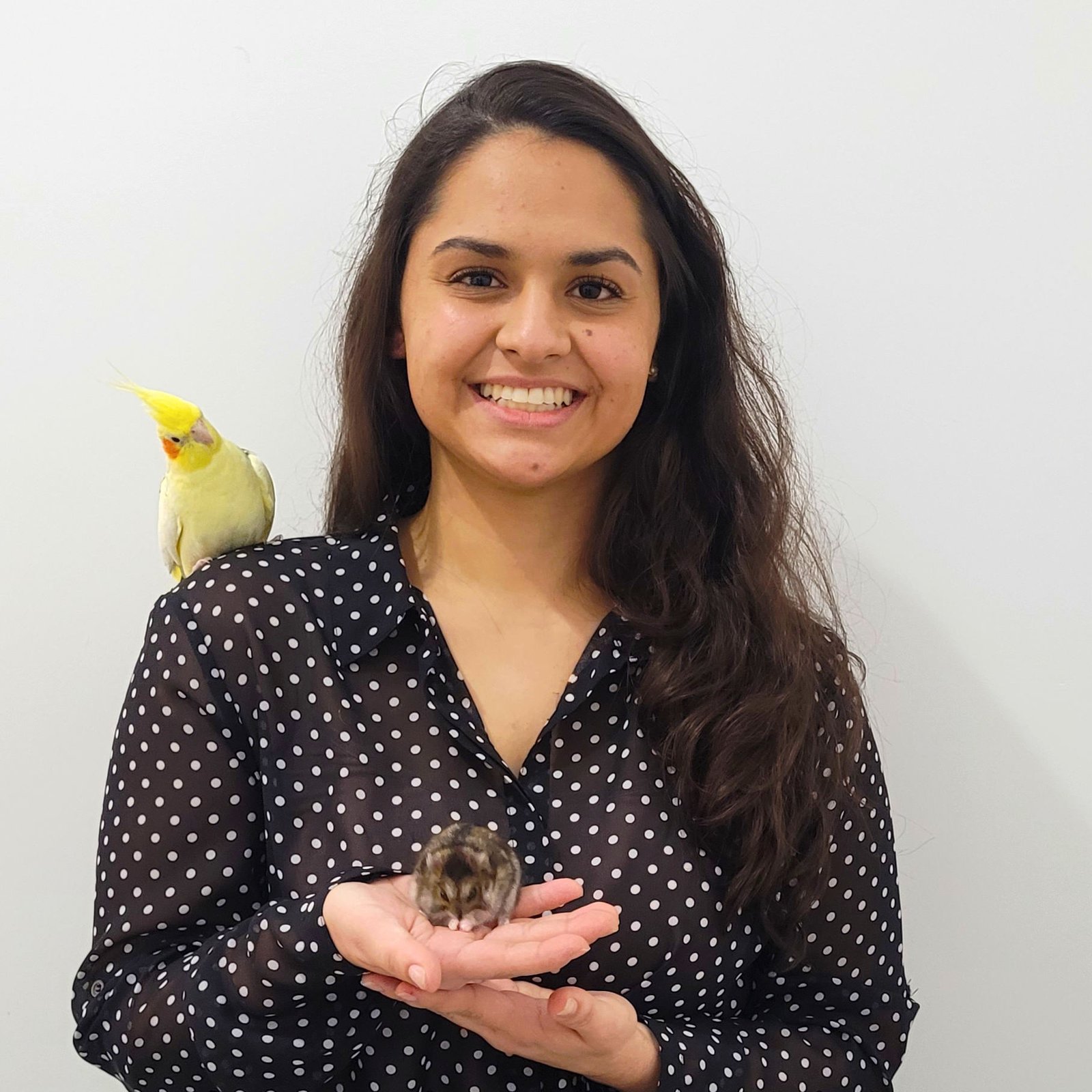 maria_biografy https://lacorst.com.br/wp-content/uploads/2022/06/maria_biografy.jpg